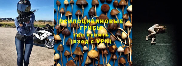 гидра Балабаново